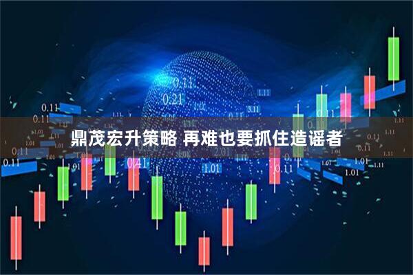 鼎茂宏升策略 再难也要抓住造谣者