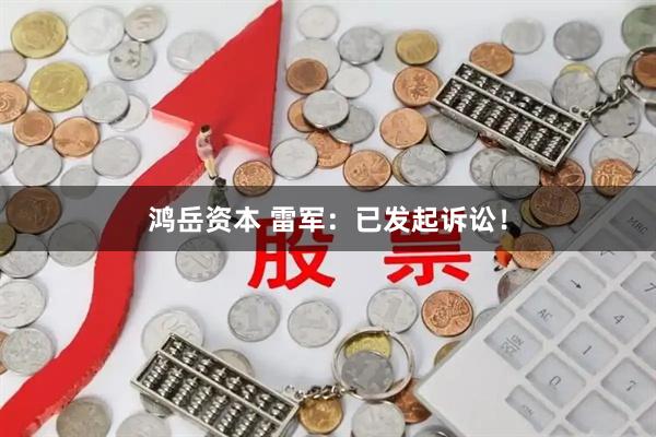 鸿岳资本 雷军：已发起诉讼！