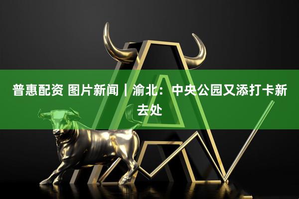 普惠配资 图片新闻｜渝北：中央公园又添打卡新去处